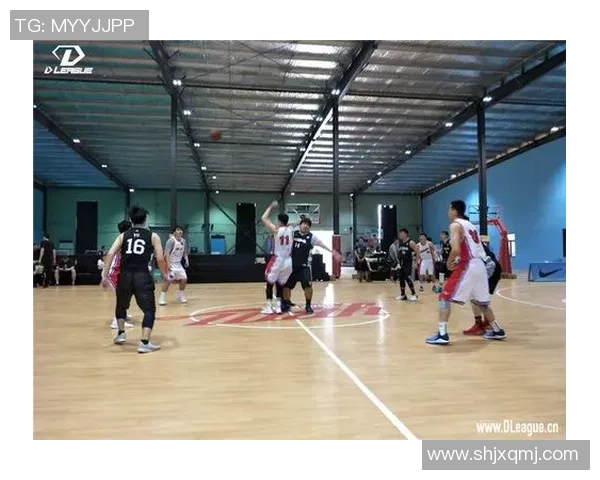 广州排球队在钻石联赛中的状态分析与表现评估 广州排球队在钻石联赛中的状态分析与表现评估