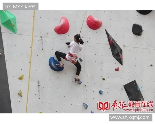 杨伟独家分享排球心得与技巧助你提升竞技水平与团队配合能力 杨伟独家分享排球心得与技巧助你提升竞技水平与团队配合能力