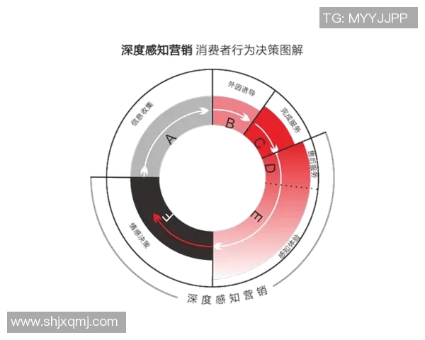 北京篮球队运营揭秘：深度分析其成功背后的策略与挑战