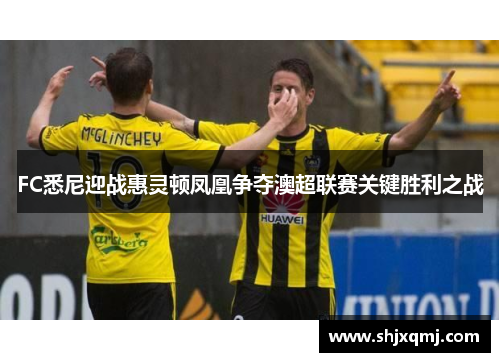 FC悉尼迎战惠灵顿凤凰争夺澳超联赛关键胜利之战